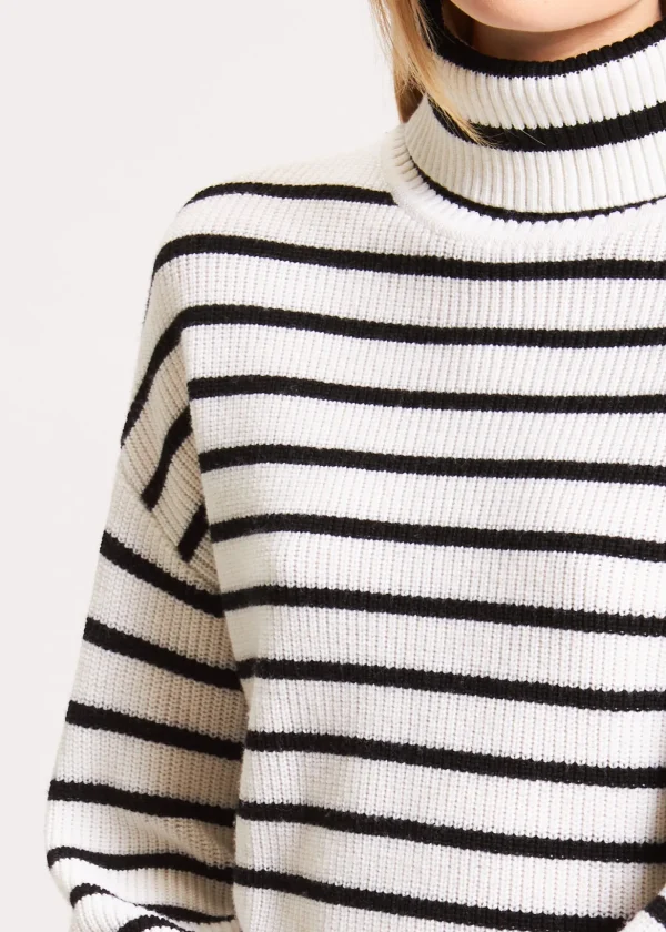 Striped Turtleneck